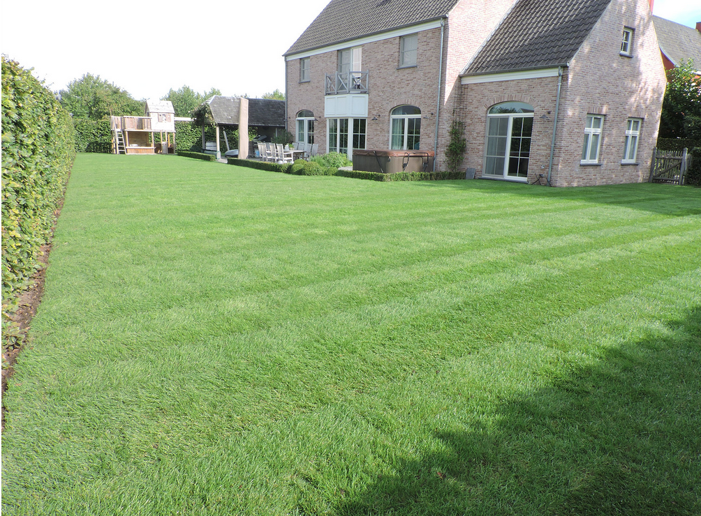 Tuinwerken Baeckelandt Stefaan